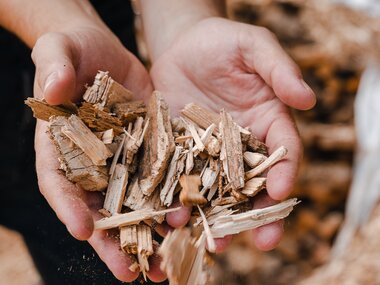 Hände einer Person, die eine Handvoll Holzspäne oder kleine Holzstücke halten, mit unscharfem Hintergrund.