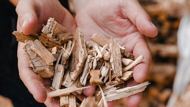 A person's hands holding a pile of wood shavings or small wood pieces, with blurred background.