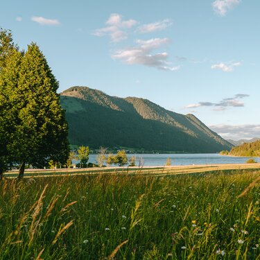 Eine ruhige Landschaft mit einem See, umgeben von Bergen und üppigem grünem Gras unter einem klaren blauen Himmel.