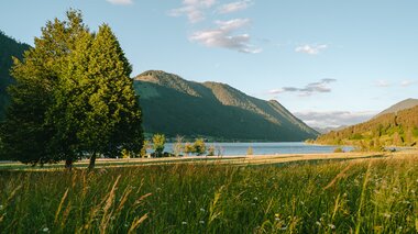 Eine ruhige Landschaft mit einem See, umgeben von Bergen und üppigem grünem Gras unter einem klaren blauen Himmel.