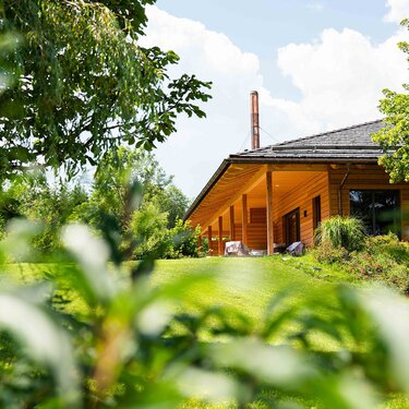 A modern wooden house surrounded by greenery, with trees and shrubs in the foreground.