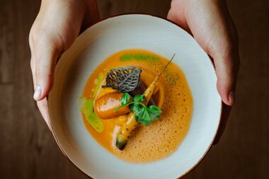 Eine Person hält einen Teller mit einem Gourmetgericht, das eine orangefarbene Sauce, eine Karotte und Dekorationselemente zeigt.